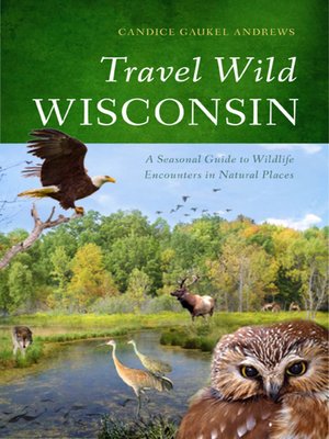 cover image of Travel Wild Wisconsin